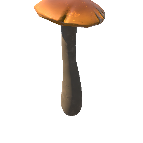 Mushroom02_1