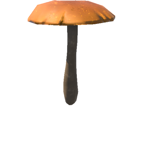 Mushroom03_1