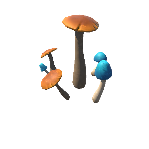 MushroomsCluster03