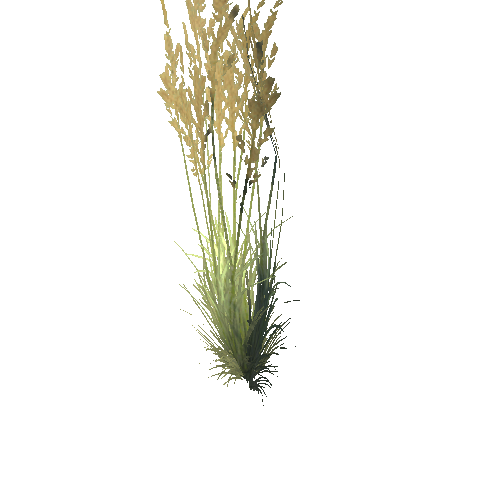 Grass_04