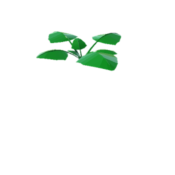 Plant_LargeLeaf_2