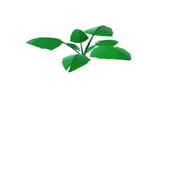 Plant_LargeLeaf_3