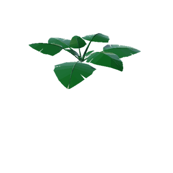 Plant_LargeLeaf_5