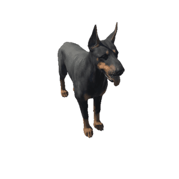 Doberman_LOD