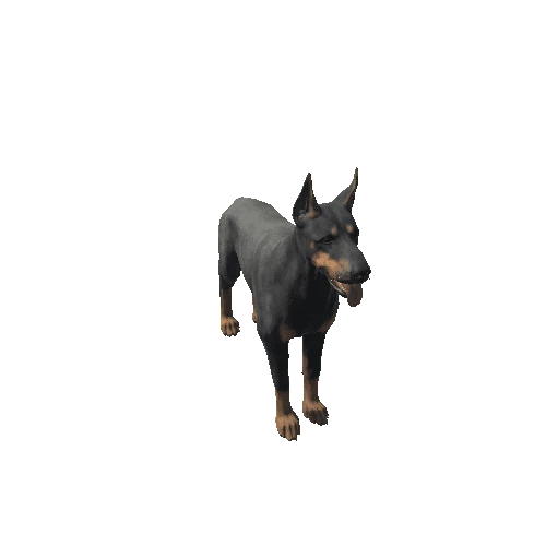 Doberman_LOD