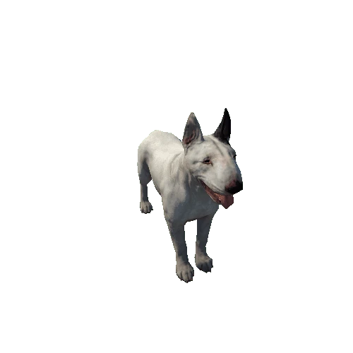 Bull_Terrier_LowPoly