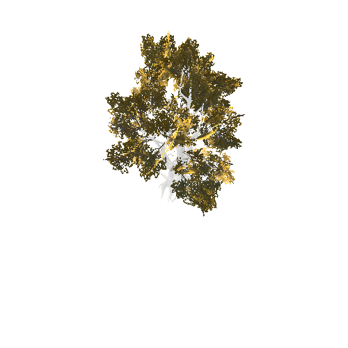 BeechTreeOldGoldB_Optimized