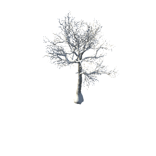 BeecthTree01WinterSnow_LD0