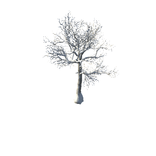 BeecthTree01WinterSnow_LD1