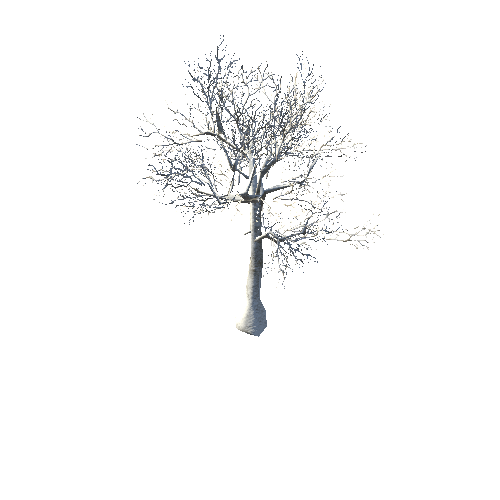 BeecthTree01WinterSnow_LD2