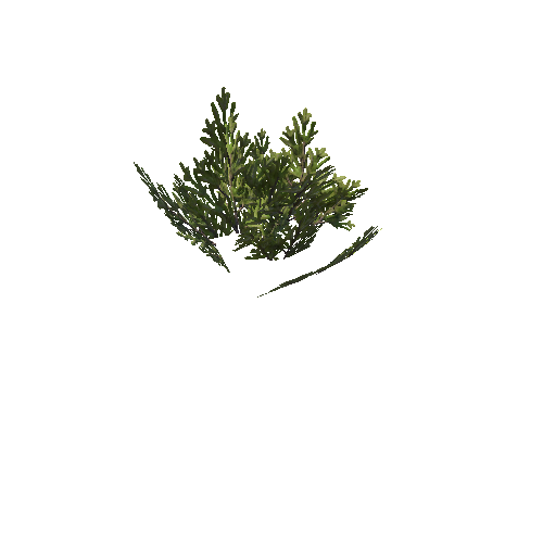 BushSpruce_SimpleClump_B