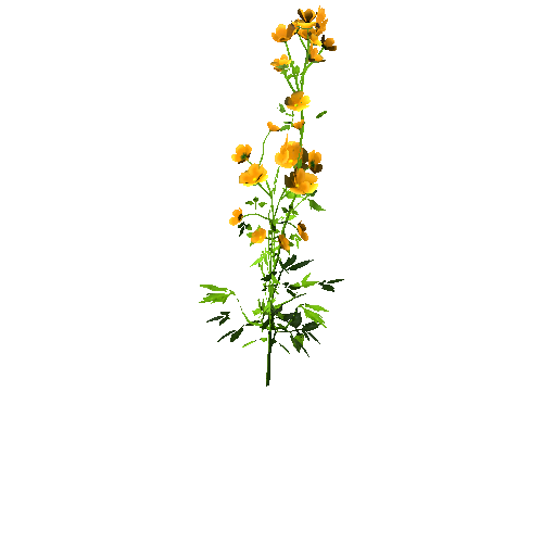 Flowers01_Yellow