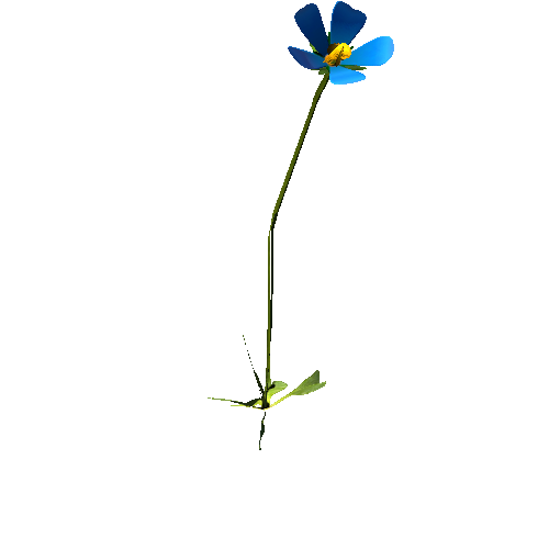 Flowers02B_Blue