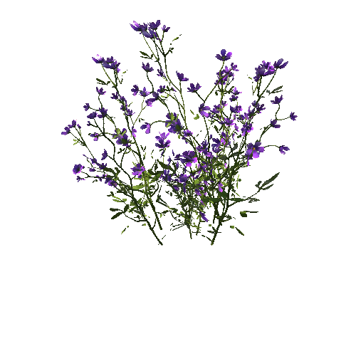 FlowersPurpleClumpA_afsTREE_xlod00_xlp_1_2