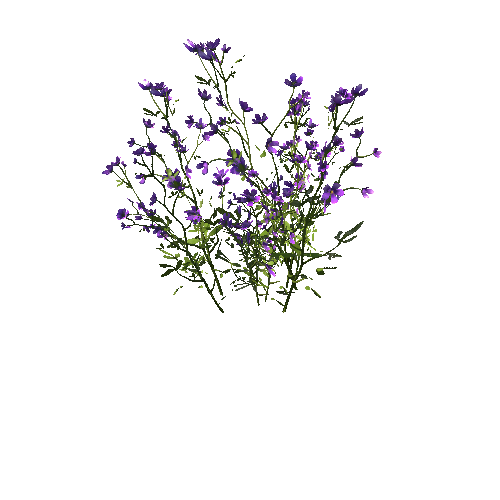 FlowersPurple_Clump_A2_Optimized