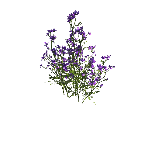 FlowersPurple_Clump_B2_Optimized