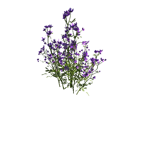 FlowersPurple_Clump_B_Optimized