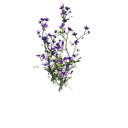 FlowersPurple_Clump_C2