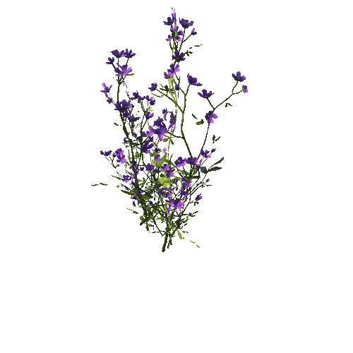 FlowersPurple_Clump_C2_Optimized
