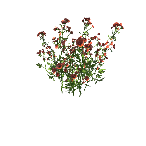 FlowersRed_Clump_A