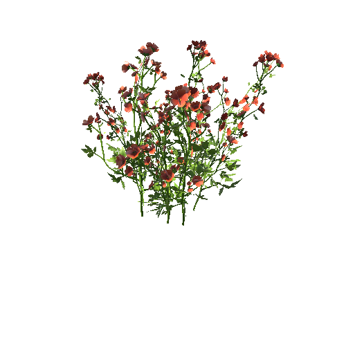 FlowersRed_Clump_A2_Optimized