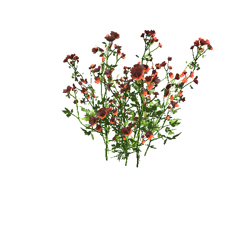 FlowersRed_Clump_A_Optimized