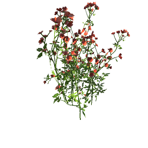 FlowersRed_Clump_B_afsTREE_xlod00_xlp_1_2