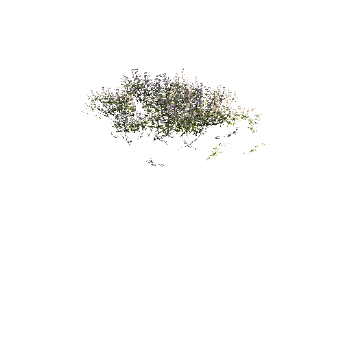 FlowersWhite_DetailClump_B