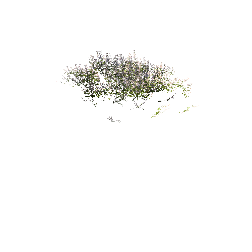 FlowersWhite_DetailClump_B_Optimized