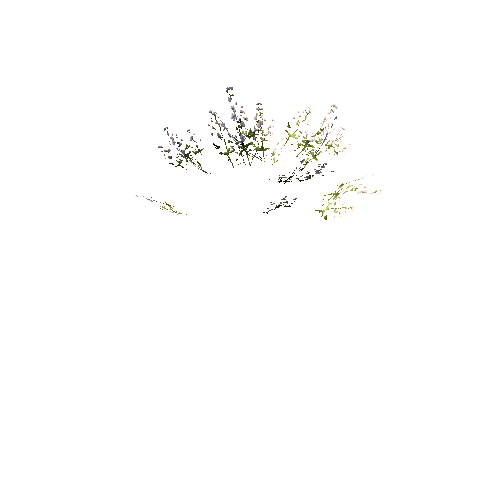 FlowersWhite_SimpleClump_C_Optimized