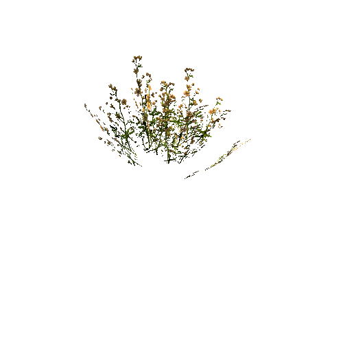 FlowersYellow_SimpleClump_B_Optimized