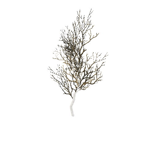 GenericTreeBushDWinter_afsTREE_xlod00_xlp_1