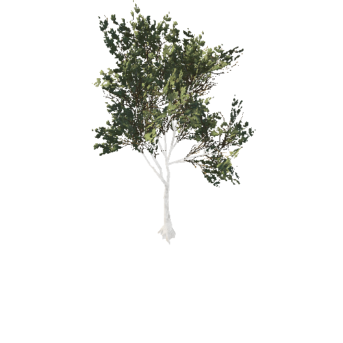 GenericTreeMixedS01_Optimized