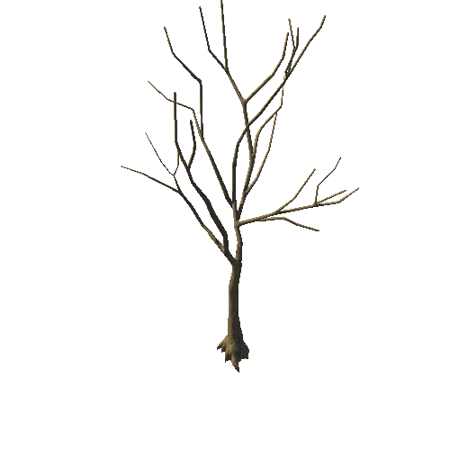 GenericTreeRHEA01_NoLeaves