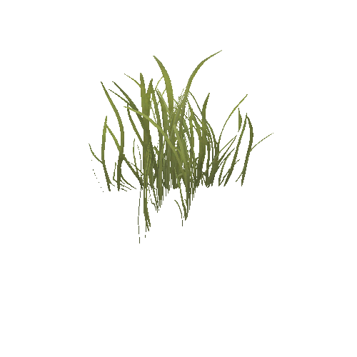 GrassASummer01_Optimized