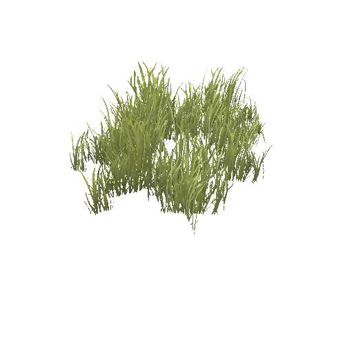 GrassASummer_ClumpA_Optimized