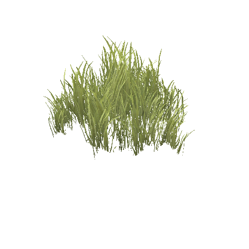 GrassASummer_ClumpC_Optimized