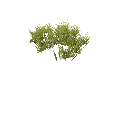 GrassShortClump_A