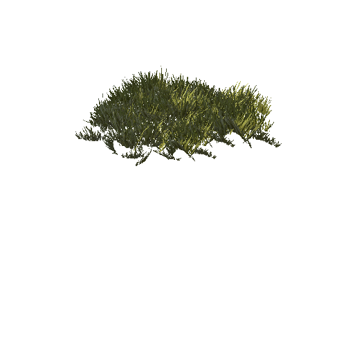 GrassSimpleClumpRHE_C2_Optimized