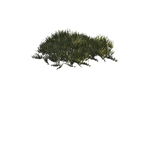 GrassSimpleClumpRHE_C_afsTREE_xlp_LD0_1