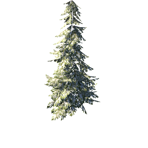 SpruceTreeWinterC_afsTREE_xlod01_xlp