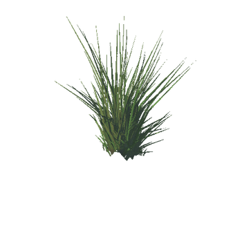 Grass02