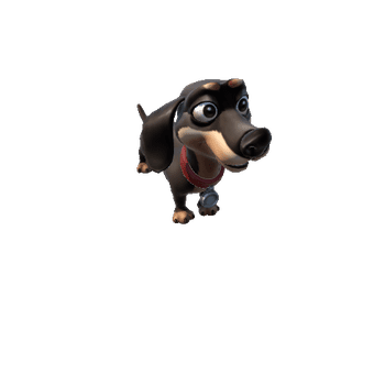 Dachshund