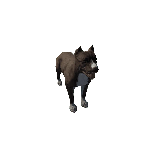 Pitbull_LowPoly_c1