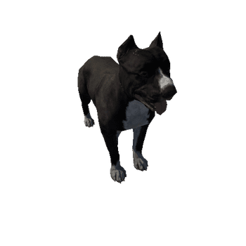 Pitbull_LowPoly_c2