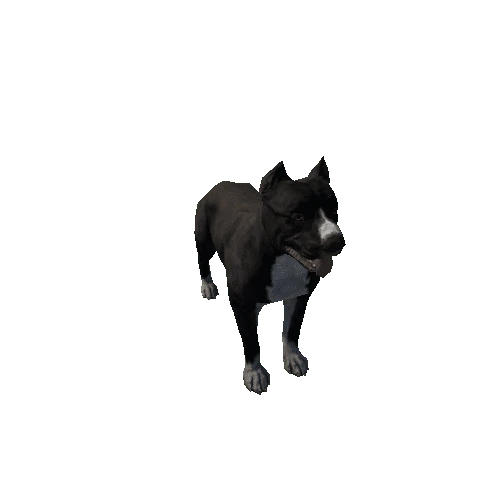 Pitbull_LowPoly_c2