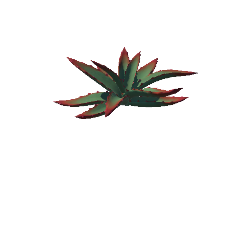 DE_Cactus_02a