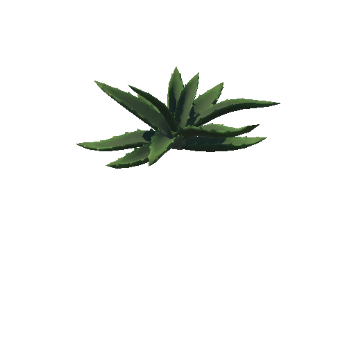 DE_Cactus_02b