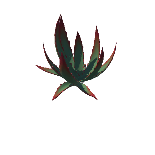 DE_Cactus_03a