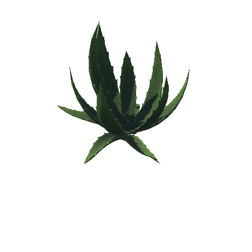 DE_Cactus_03b